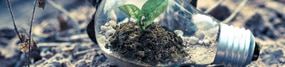 direito ambiental2 squiapati law direito advogado escritorio advocacia expert especialista adv